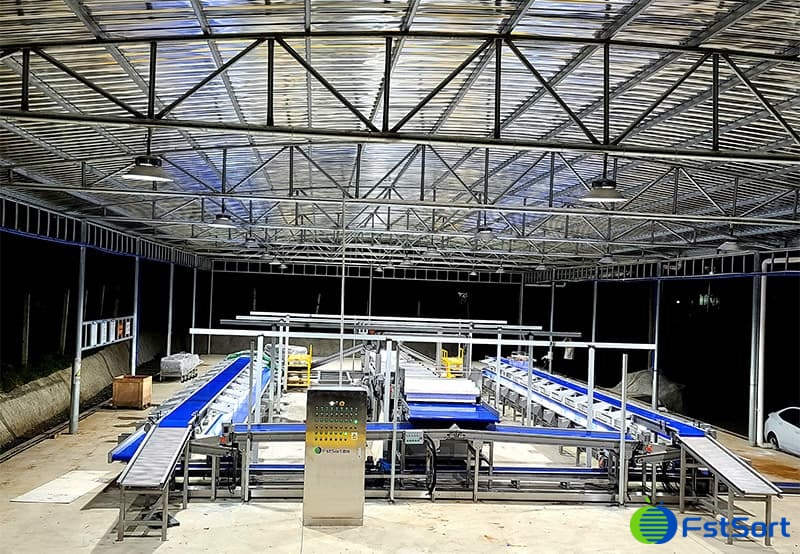 images/1683007957684fruit processing line.jpg